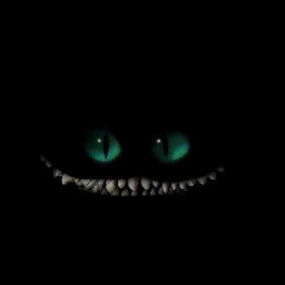 Meet your Posher, Trinity - Picture 1 of 1